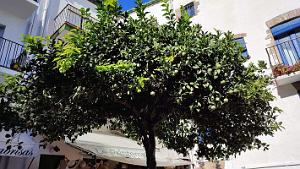 Cadaques - 26.09.2023 - 10